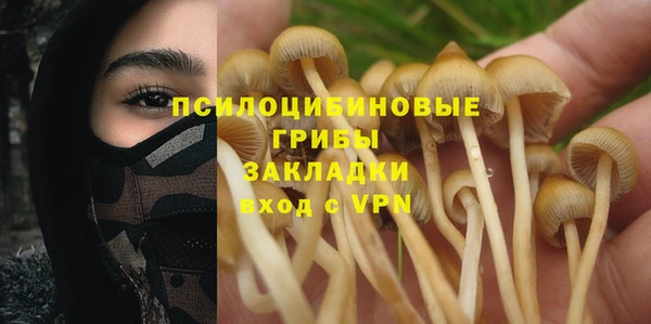 таблы Аркадак