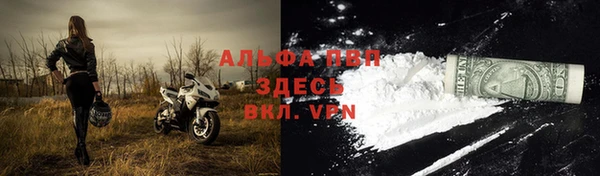 сатива Армянск