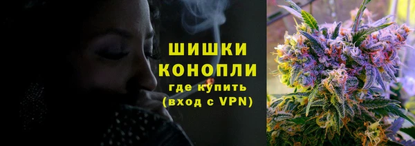 сатива Армянск