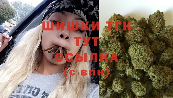 сатива Армянск