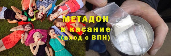 сатива Армянск